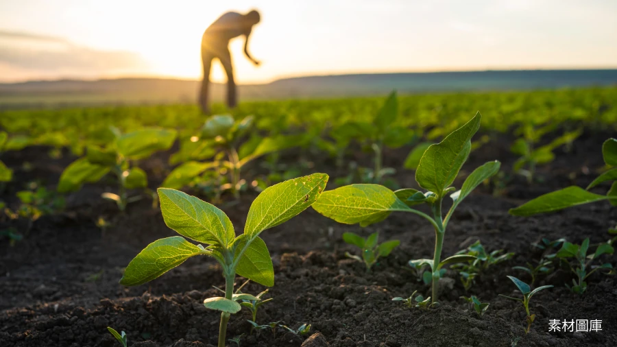 Empowering Farmers, Preserving the Land
